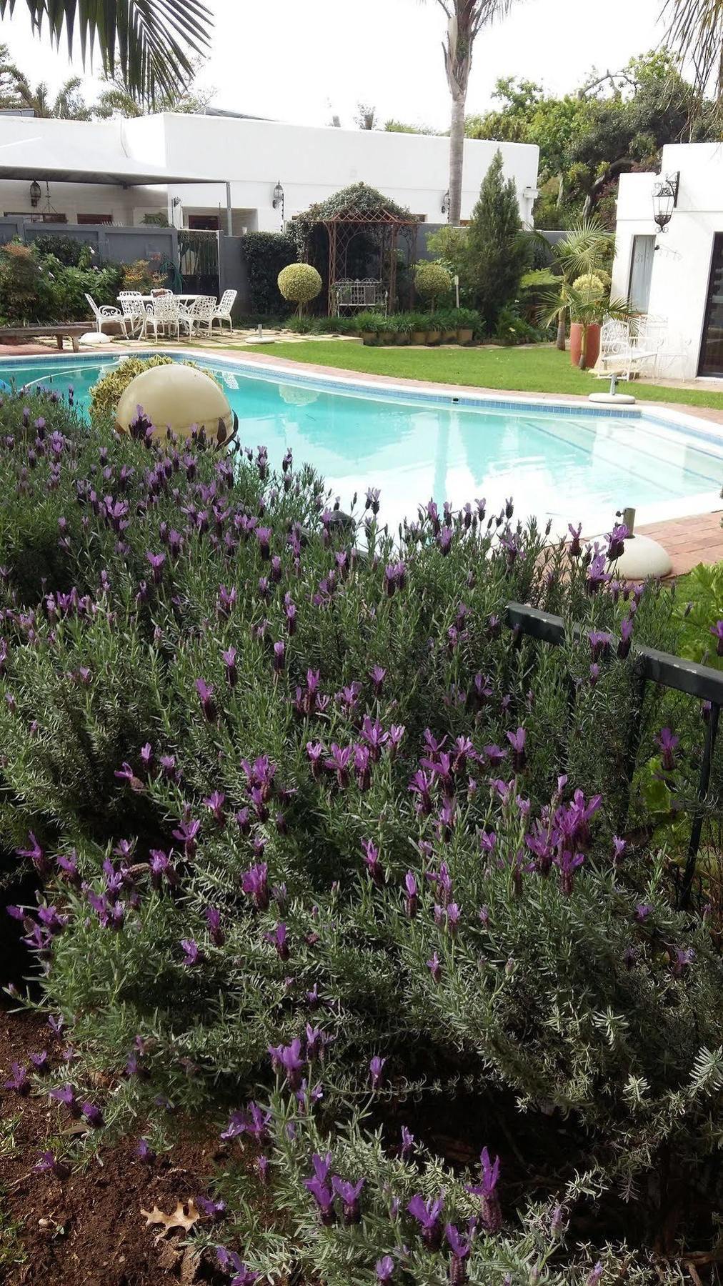 Cape Pillars Boutique Hotel Durbanville Kültér fotó